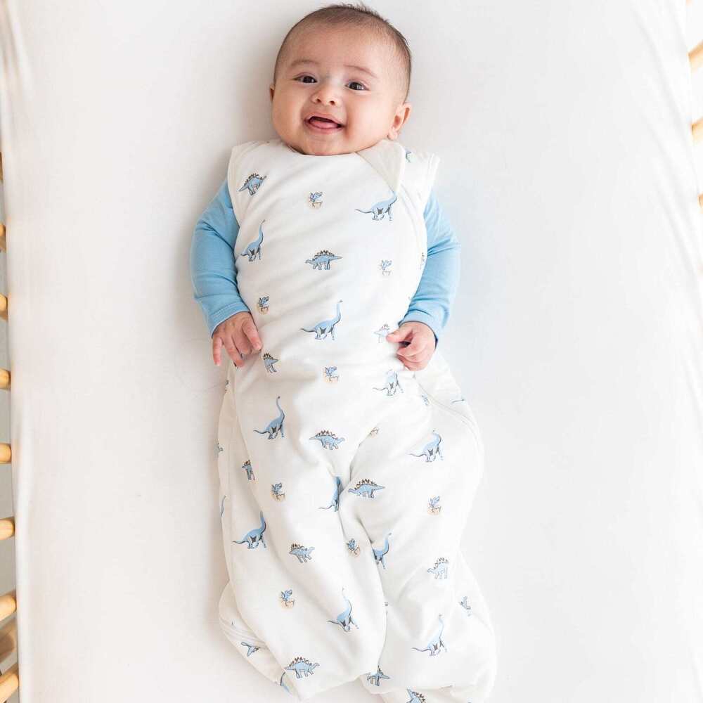 Kyte Baby Sleep Bag in Jurassic 1.0 Size MJurassic / M